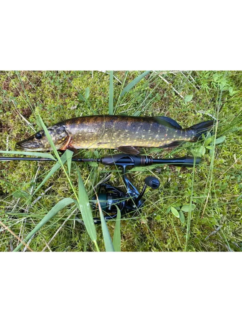 Удилище кастинговое MINI GUN 17UL 1,7m 1-7g (top solid)