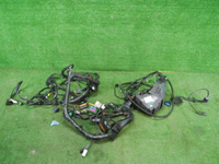DSCN1956.JPG
