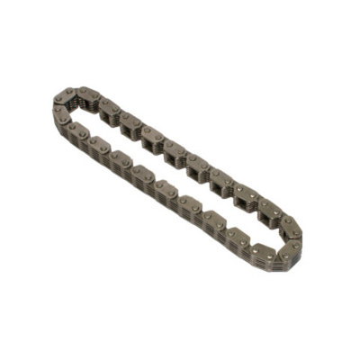 CHAIN CAM '99-06 TC88 OUTER SILENT #8063