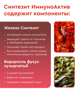 Синтезит ИммуноАктив