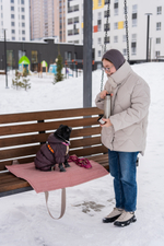 Best Buddy Сумка-лежак 2в1 Buddy Bag Розовая клетка