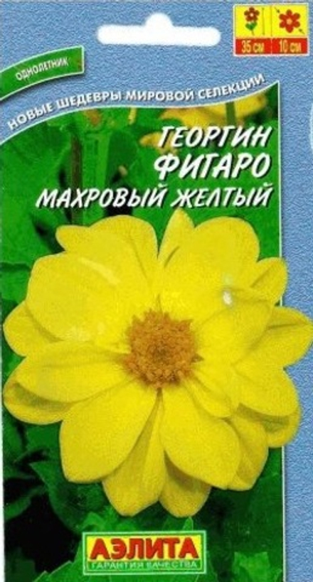 Георгина Фигаро желтый махр. 7шт Аэлита