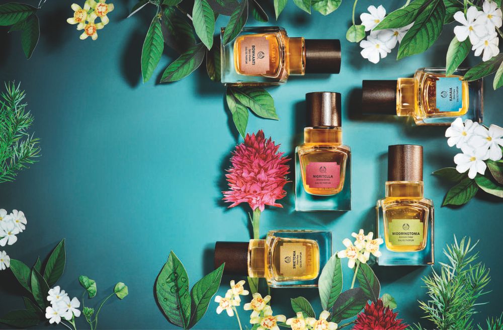 The Body Shop Widdringtonia