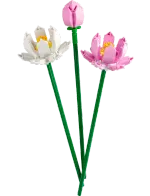 Конструктор LEGO Botanical Collection 40647 Цветы лотоса
