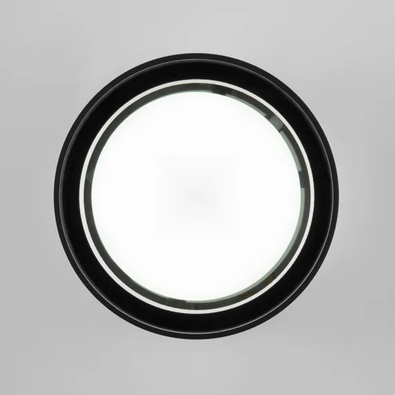 Потолочный светильник уличный Light 35144/H черный Elektrostandard