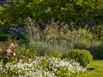 Gardens in my life. Arabella Lennox-Boyd
