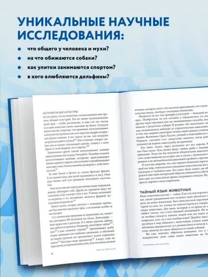 Скрытая цивилизация