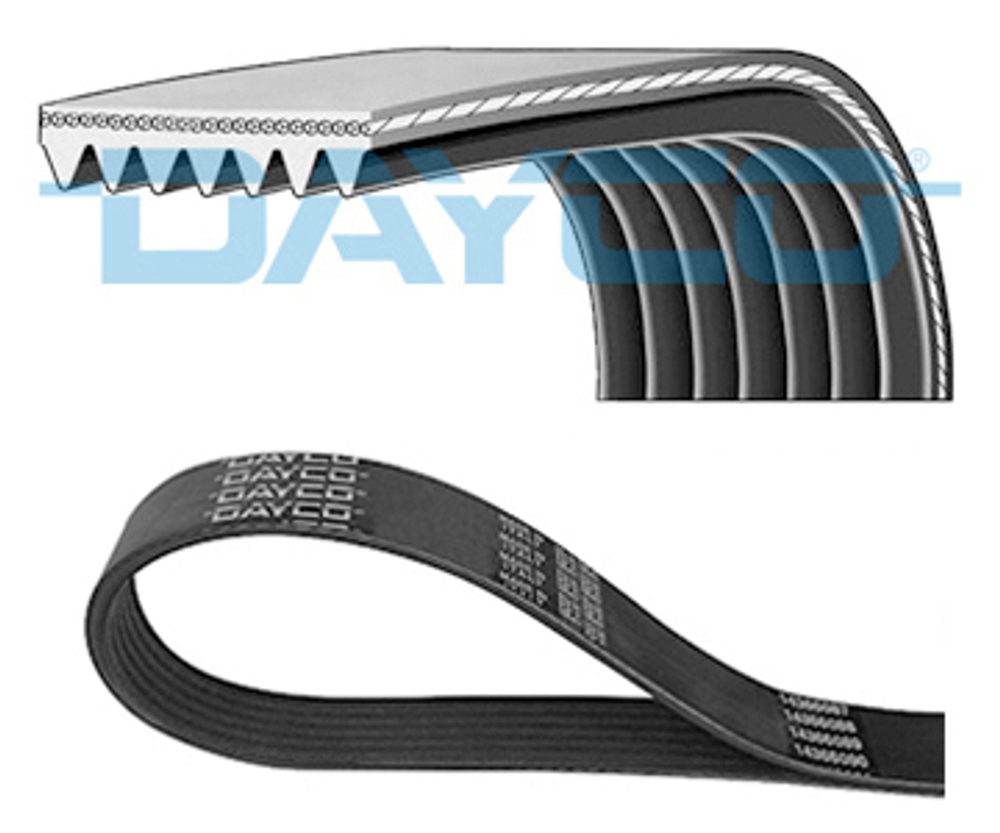 DAYCO - 7PK1705DT-DAY - Klinasti rebrasti kais
