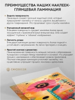 Наклейка интерьерная на холодильник Цветок Африки