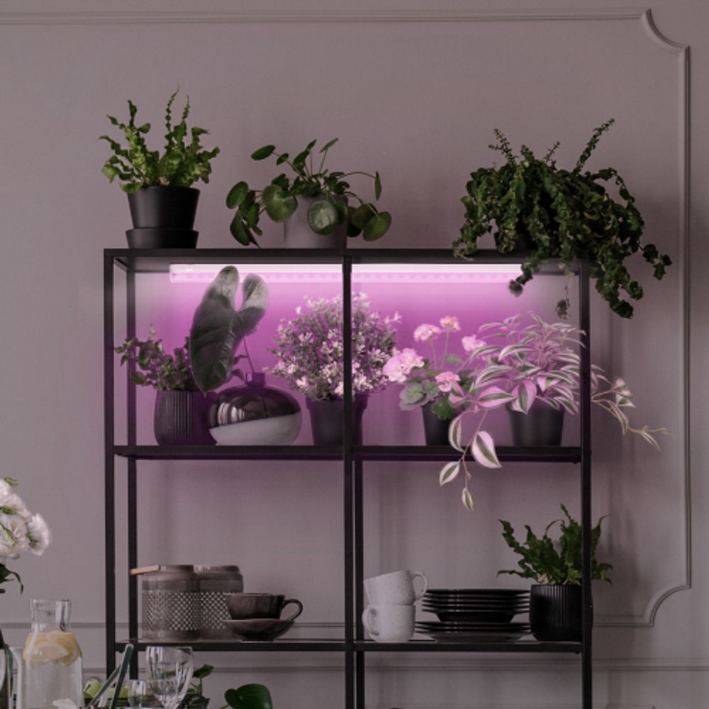 Светильник для растений, фитолампа светодиодная линейная ЭРА LLED-05-T5-FITO-14W-W розового свечения 14 Вт | Линейные фито светильники