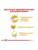 ROYAL CANIN MAINE COON Adult (Роял Канин Мейкун Эдалт) корм сухой для кошек 13 кг.