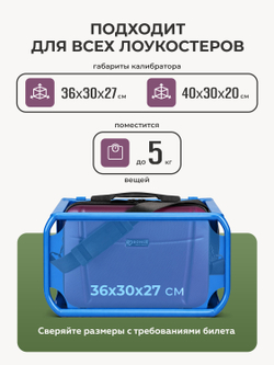 Дорожный кейс Bonle Винный