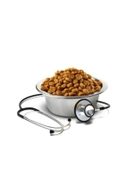 Корм сухой Farmina Vet Life Hypoallergenic Pork & Potato (Фармина Вет Хипо) свинина и картофель 12 кг