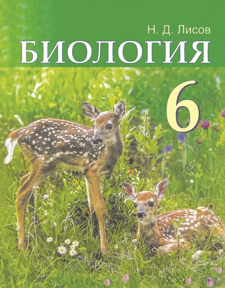 Биология 6 класс. Растения, грибы, лишайники (14 табл.) — купить по ФГОС | Учебный стандарт