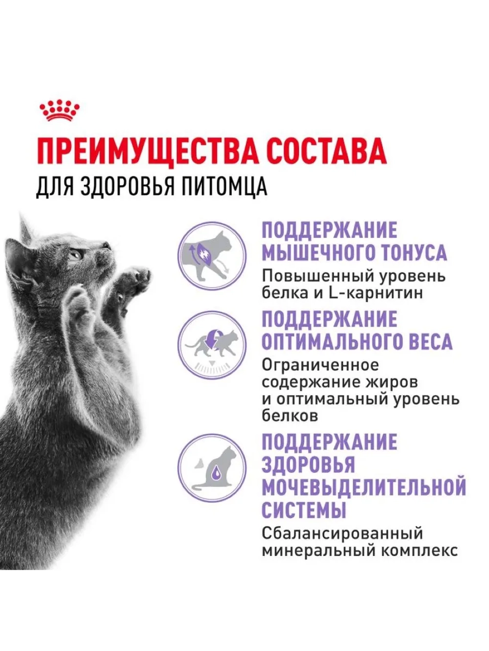 Sterilised 37 Корм для кошек 2кг