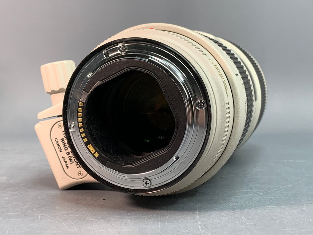 Canon EF 70-200mm 2.8L IS II USM