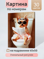 Картина по номерам 40х50см. "Важные новости" (на подрам.) (арт.ХК-3929)