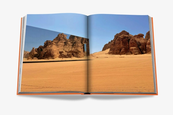 Книга ASSOULINE Alula Ever