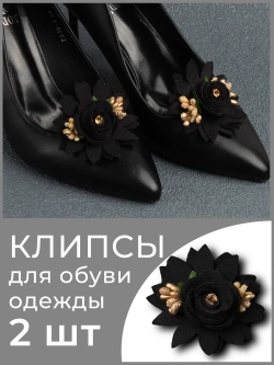 Стильное Украшение для обуви