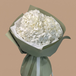 Пять белых гортензий Pure White