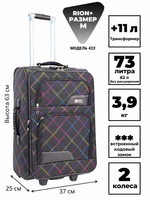 RION+ 422RMB — инфографика