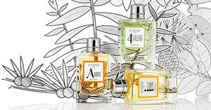 L'Occitane en Provence Ambre