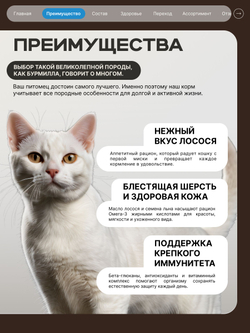 Корм сухой для взрослых кошек породы Бурмилла, с лососем, 2 кг, QUATTRO