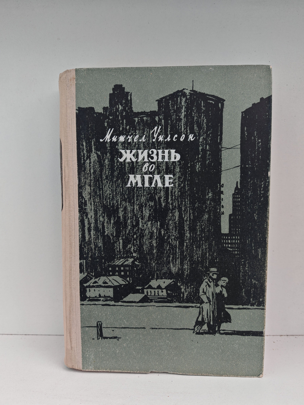 Жизнь во мгле