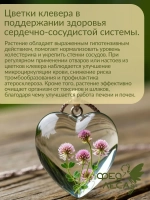 Клевер красный луговой целые цветки