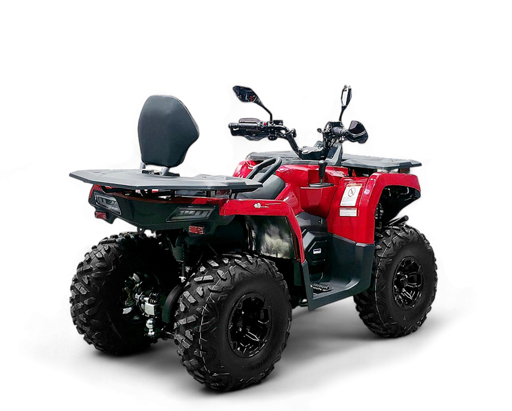 Квадрицикл Bizon YK250 LUX EFI ПТС