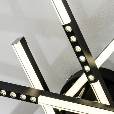 Потолочный светильник LED4U L5116-6 BK