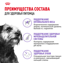 Royal Canin Mini Sterilised Корм сухой для взрослых стерилизованных собак мелких размеров, склонных к набору веса - 3 кг