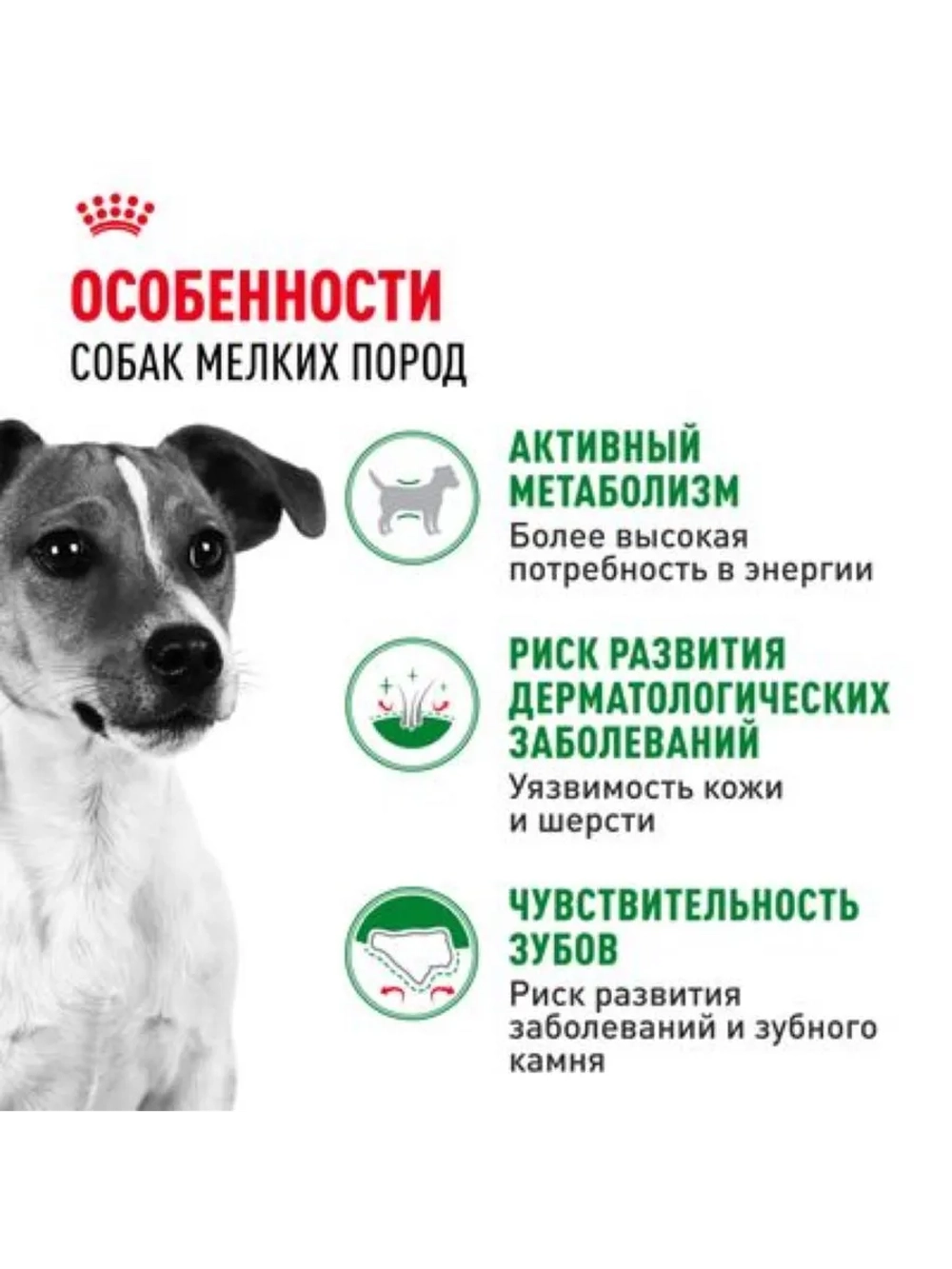 MINI Adult Корм для собак мелких пород 4кг