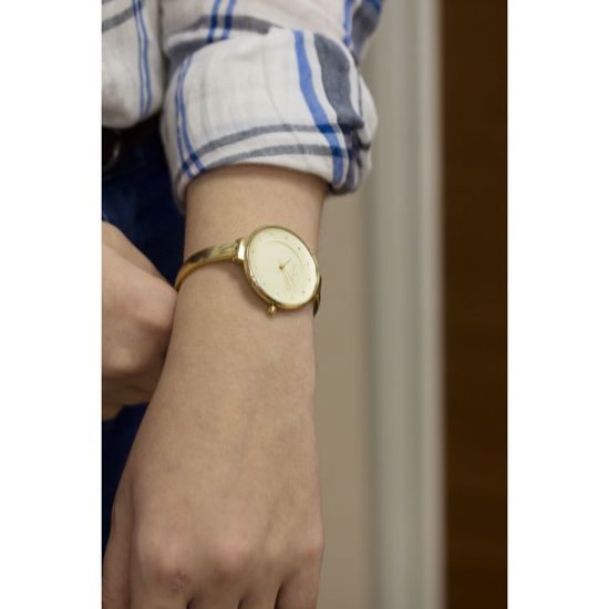 Женские часы Skagen SKW2229