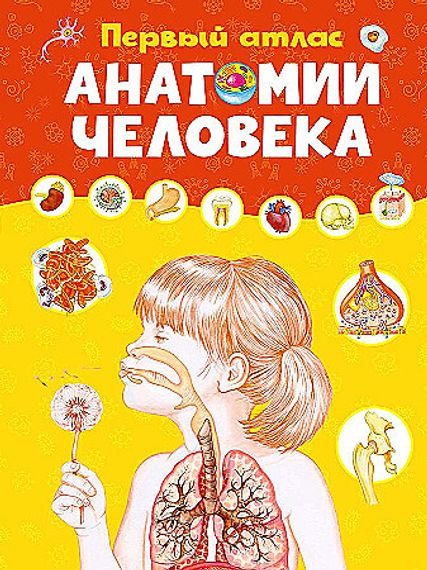 Первый атлас анатомии человека