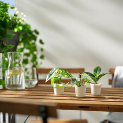 IKEA FEJKA  (ИКЕА ФЕЙКА)  -  Искусственное растение в горшке, 3 шт. - для дома и улицы/листья
