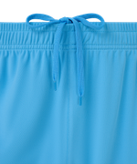 Шорты игровые Jogel DIVISION PerFormDRY Union Shorts, голубой S2