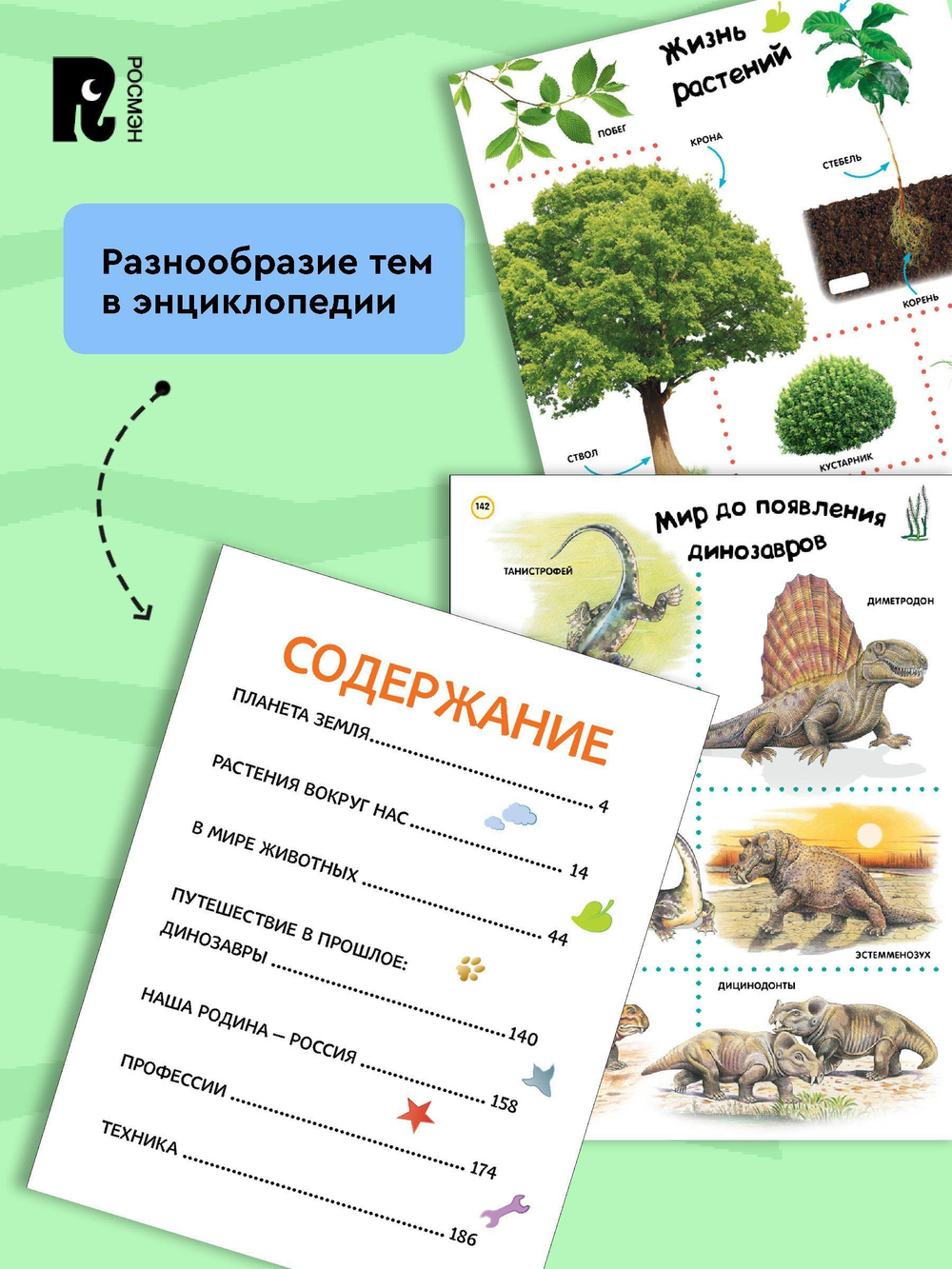 Большая энциклопедия в картинках