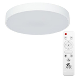 Потолочный светодиодный светильник Arte Lamp ARENA A2661PL-1WH