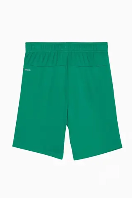 Шорты Puma teamGOAL Junior - зеленый