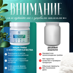 Ноотропный комплекс капсулы 90 штук