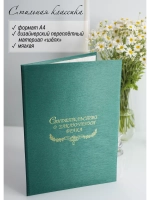 Папка для свидетельства о браке
