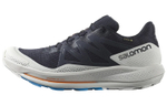 SALOMON Pulsar Trail Gtx "Night Sky" / L00