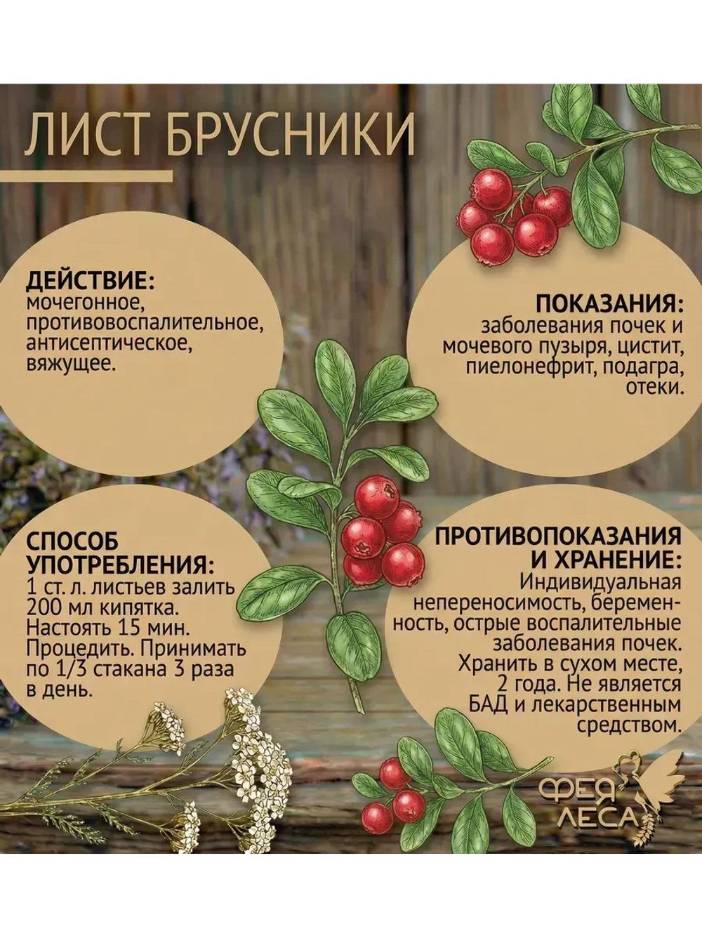 Брусники лист сушеный для здоровья и творчества