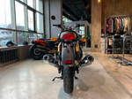 Royal Enfield Interceptor 650 Cali Green (Standard / Single tone)