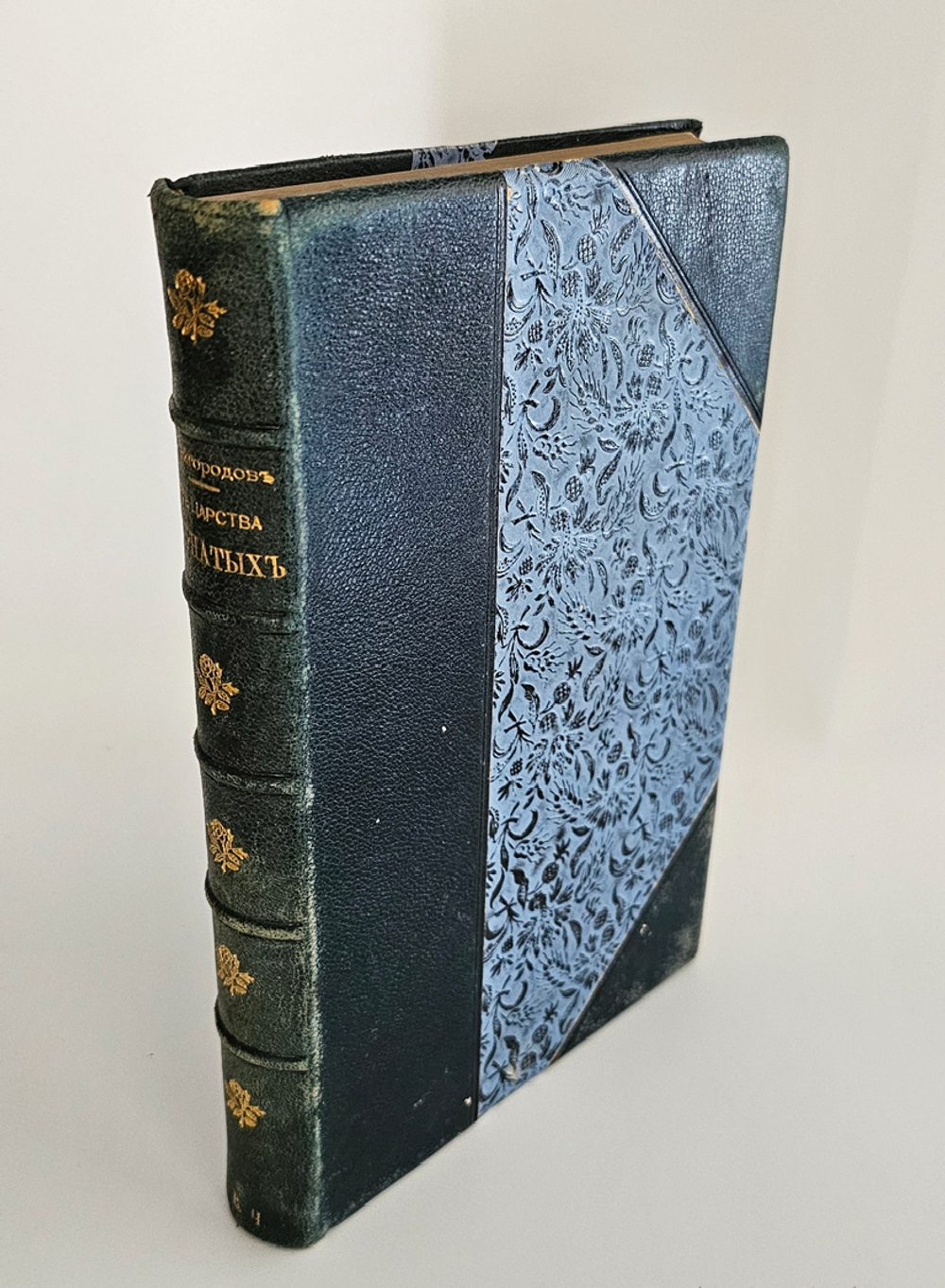 "Из царства пернатых. Популярные очерки из мира русских птиц". 1899г. - раритет