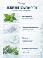 ESTHETIC HOUSE Набор Шампунь Cool Mint , 500мл и Скраб CP-1 Scalp Scaler, 35мл