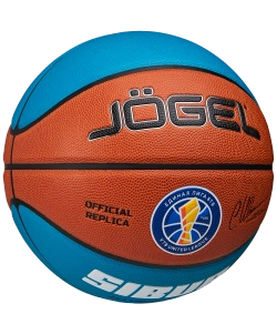 Мяч баскетбольный Pro Training ECOBALL 2.0 Replica №6