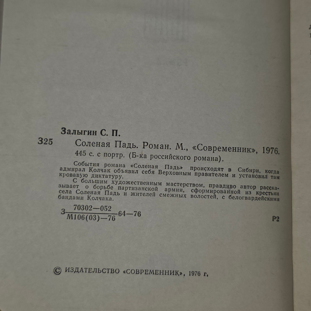 Книга "Соленая Падь."