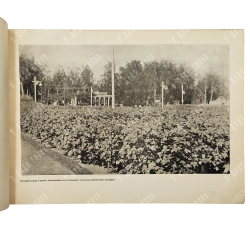Хлопководство в СССР. Альбом. М.: Наркомзема СССР, 1940.